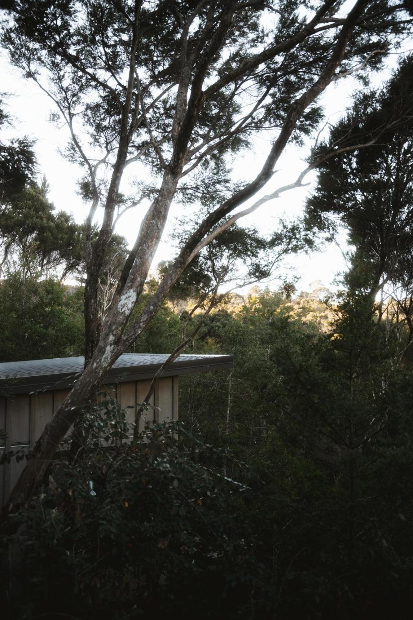 Treehouse Hideaway At Rekindle Tree Houses Opua 外观 照片