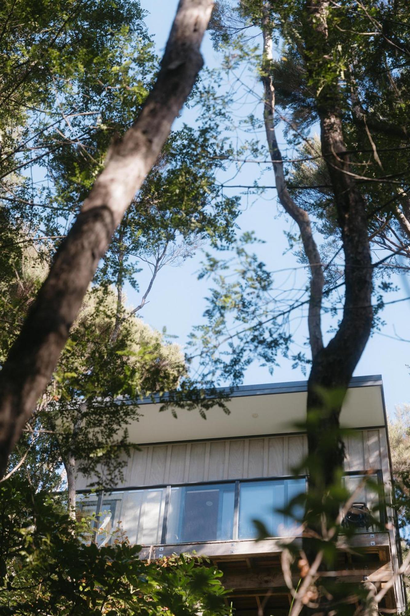 Treehouse Hideaway At Rekindle Tree Houses Opua 外观 照片